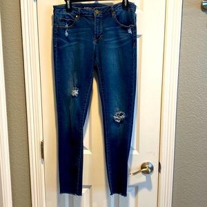 Articles of Society Jeans Sarah Skinny Ankle